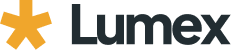 Lumex Template - BAM Group (business strategy consulting)